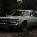 #LeBaron