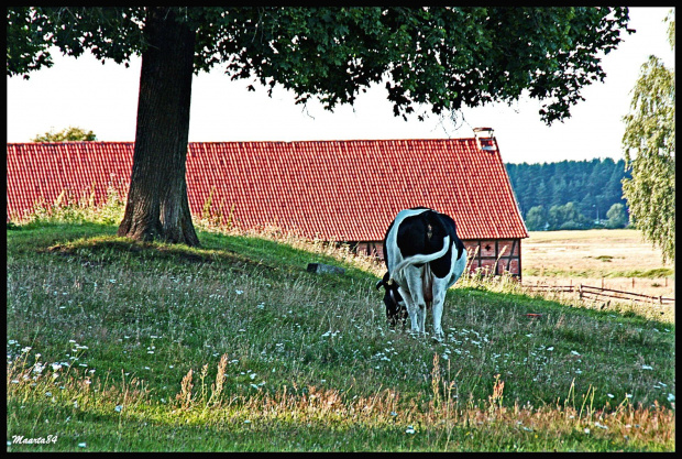 Skansen w Olsztynku