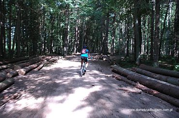 hajnówka-narweka-masiewo-gruszki-pogożele-teremiski #PuszczaBiałowieska #hajnówka #narewka #gruszki #masiewo #teremiski #pogożele