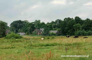 #korczew #bużyska #drohiczyn #olendry #drażniew #RzekaBug #PodlaskiPrzełomBugu