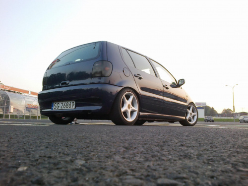 polo 6n