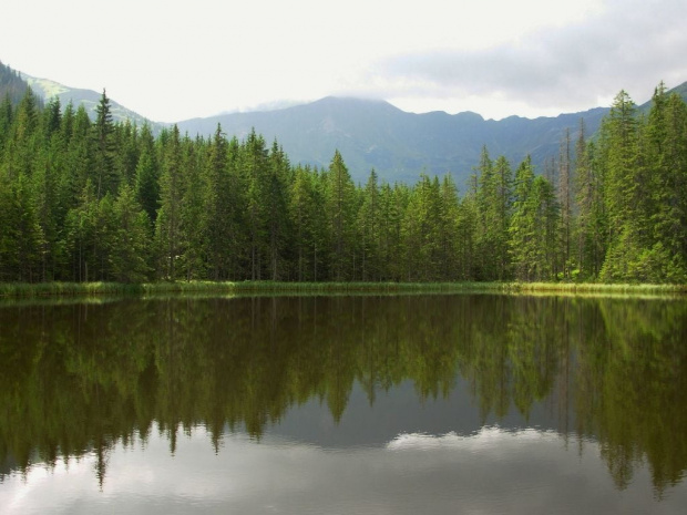 Smereczyński Staw--Tatry #Tatry