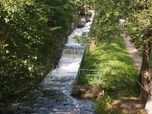 Brodnicki Park Krajobrazowy #BrodnickiParkKrajobrazowy #las #rower