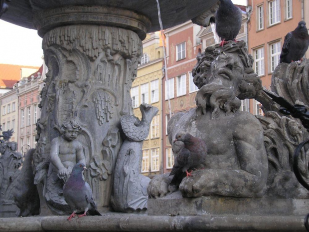 Gdańsk, fontanna Neptuna #pomorze #gdańsk