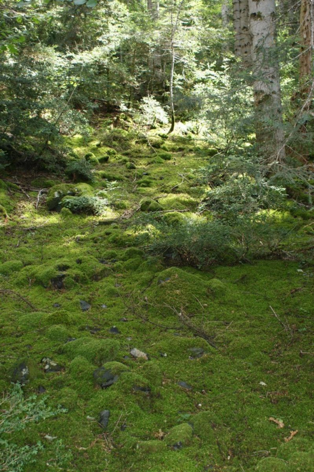 Pireneje - sierpień 2009