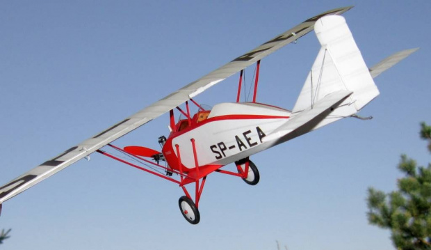 PWS-3