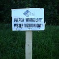 Skutki nawałnicy w Piaskach Wielkopolskich