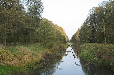 Kanał Łasica #Puszcza #jesień