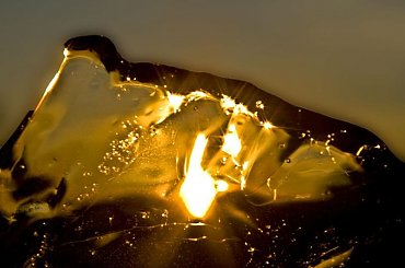 Plomien lodu #makro #evasaltarski