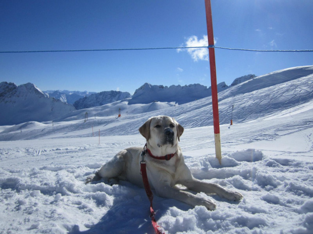 #ZugspitzeBawaria