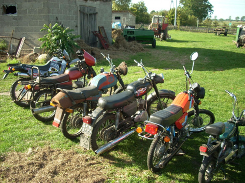 Moje wszystkie motory z wyjątkiem Delty którą pokażę później #RometPony #RometChart #WSK125 #WSK175 #YamasakiKingway
