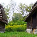 Muzeum Wsi Lubelskiej