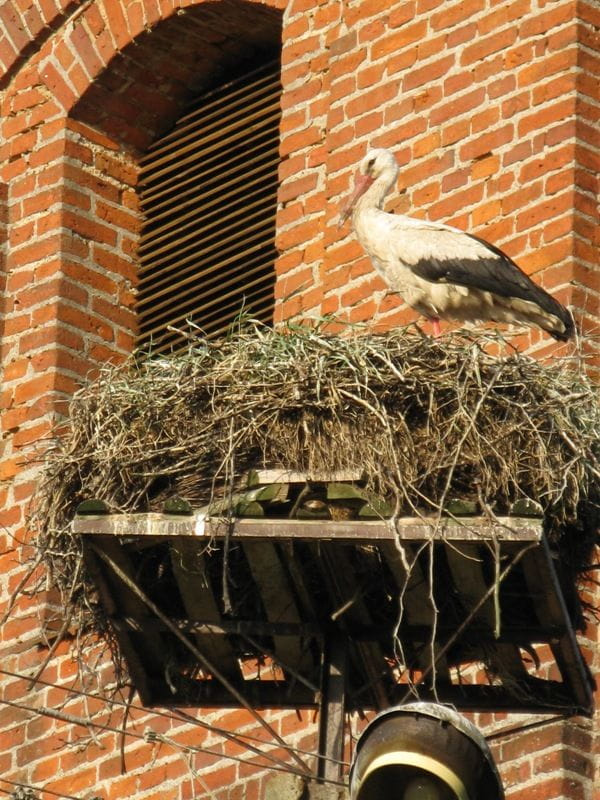 Kwitajny (warmińsko-mazurskie) - kościół