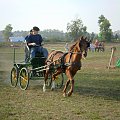 Folwark Podrzecze - zawody konne w powożeniu :)