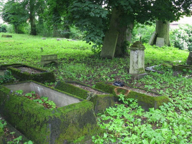 Fiszewo (warmińsko-mazurskie) - cmentarz mennonicki