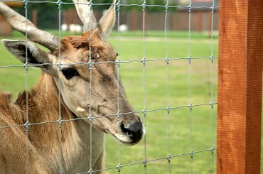 Hey ;) #Borysewo #Łódź #ptaki #safari #zoo