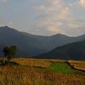 Panorama na Tatry z Drogi Homolackiej w okolicy Bachledzkiego Wierchu #Tatry #Góry