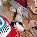 12.11.2009