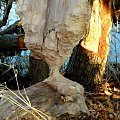 rózne foto #MAZURY