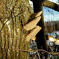 rózne foto #MAZURY