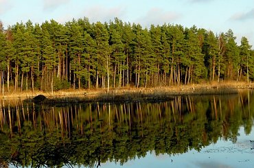 ODBICIA W WODZIE #ODBICIA