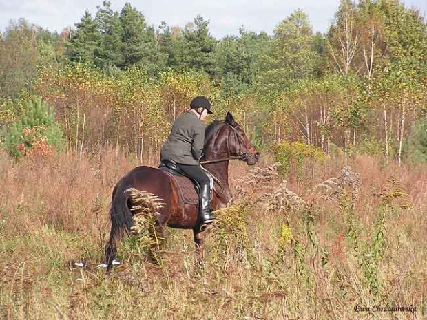 2008.10.18 Hubertus I