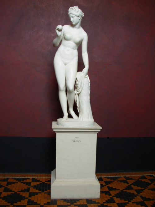 posąg rzymskiej bogini miłości-Venus
