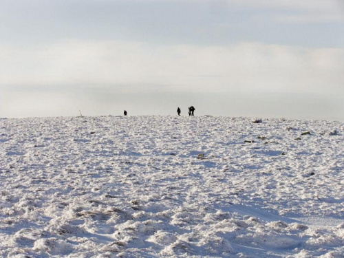 Na horyzoncie. #Karkonosze #SzklarskaPoręba #góry #krajobraz #zima #ŚnieżneKotły