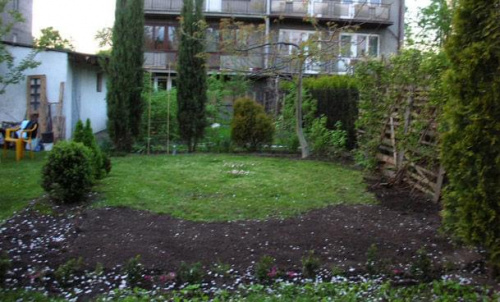 widok na ogród z drugiego końca z przed 1.5 roku