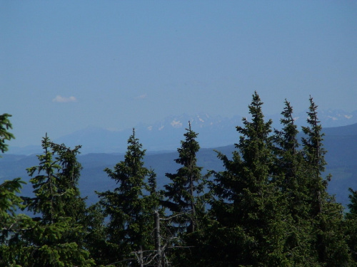 Tatry ze Skrzycznego