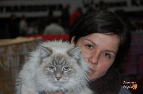 Wystawa Kotów Rasowych Olsztyn 16-17.01.2010