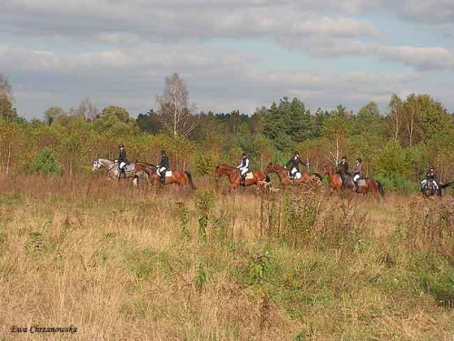 2008.10.18 Hubertus I