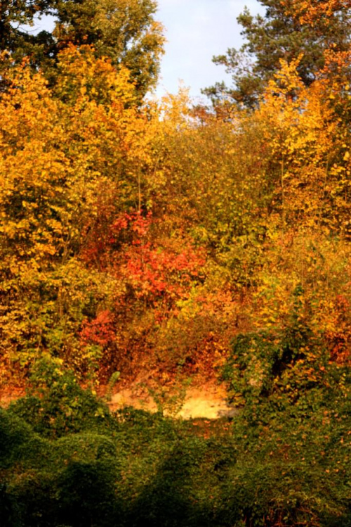 ...po drodze mijam piękne barwy jesieni...