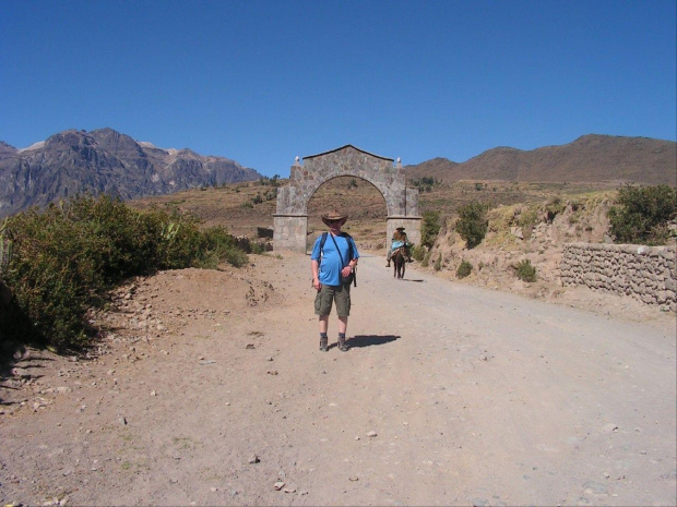 Cobanaconde w Kanionie Colca -Peru