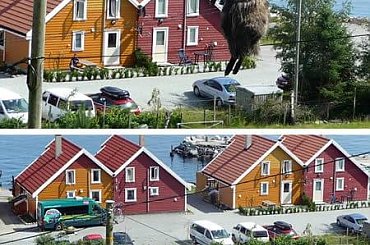 FAIL ;) #baran #fail #humor #koza #owca