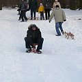 Wielkopolska Spontan centralny