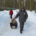 Wielkopolska Spontan centralny