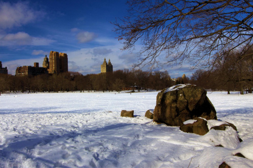 Central Park NYC