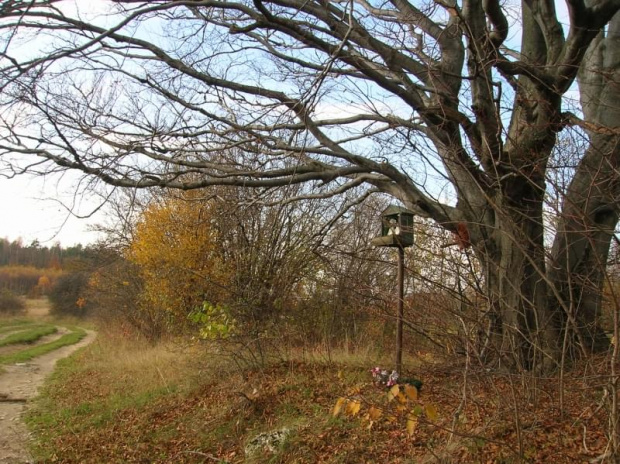 02.11.08 Mirów-Bobolice. Zaduszki na rowerze