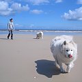 Ich Troje #Pies #plaża #morze #niebo #zabawa #błękit