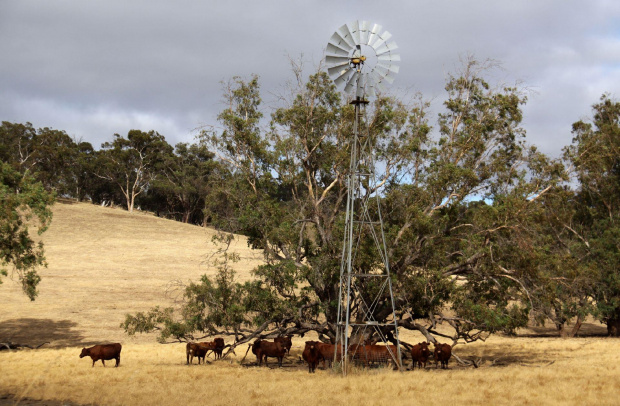 Taken in the Western Australian Countryside after hot weather