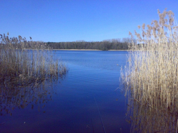 Mazury