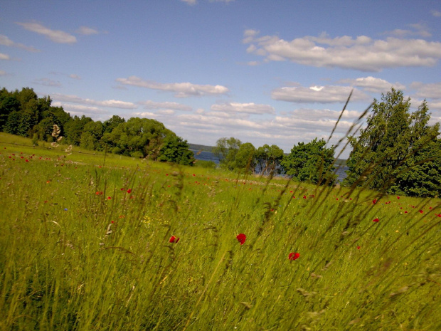 mazury