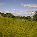 mazury