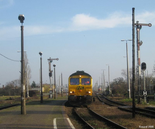 09.11.2008 Class66-66002 przejeżdża przez perony w drodze do Niemiec.