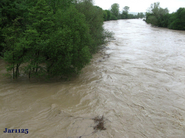 Wisłoka Krajowice - majowa powódź 2o1o