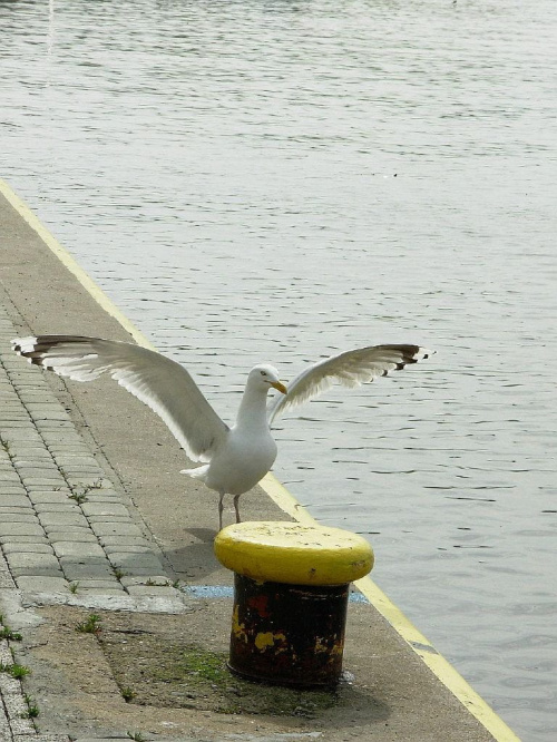 uff!! jak gorąco:))