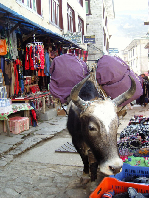 Ulice Namche-Bazar