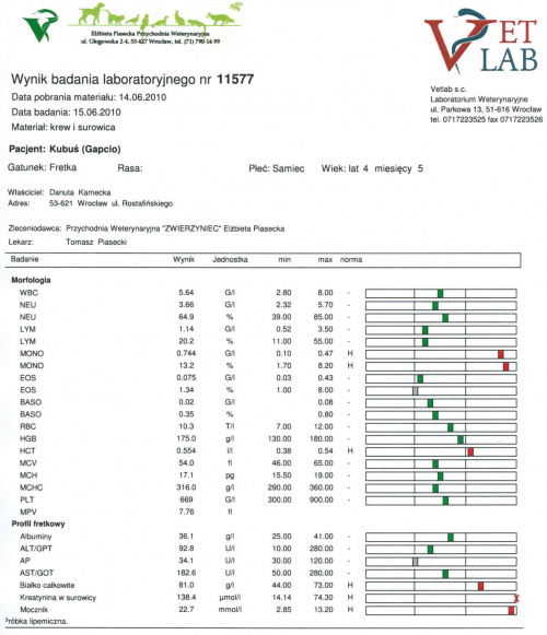 badanie krwi _ Kubuś 15-06-2010 #wyniki #BadanieKrwi #mocznik #kreatynina #fretka #Kubuś #nerki #białko