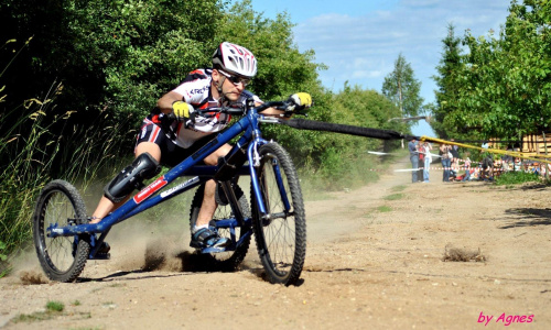 Sport zaprzęgowy w wydaniu bez śniegu -dryland #ZieloneBielkówko #amberdog